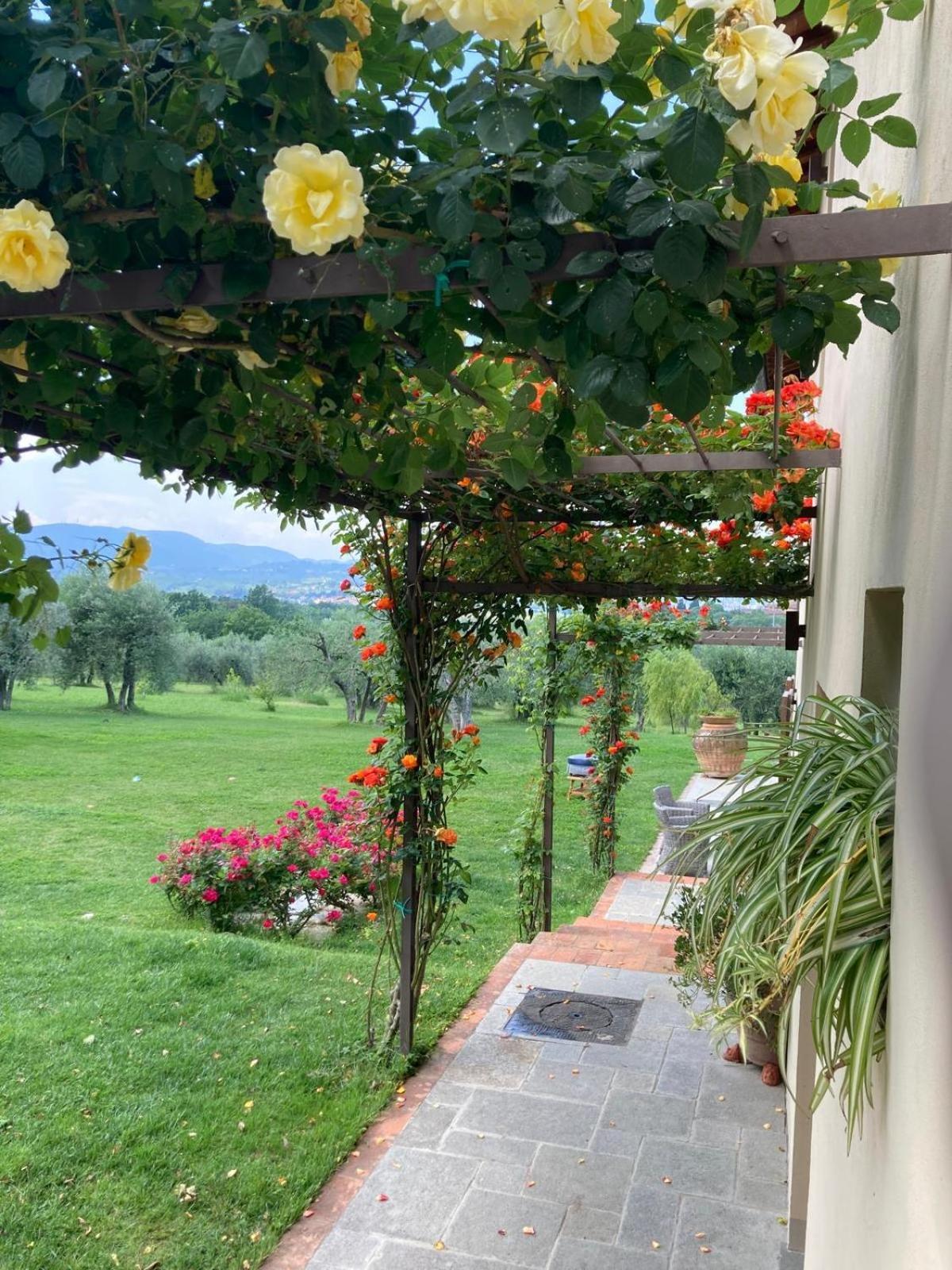 Podere Agli Arrighi シーニャ エクステリア 写真