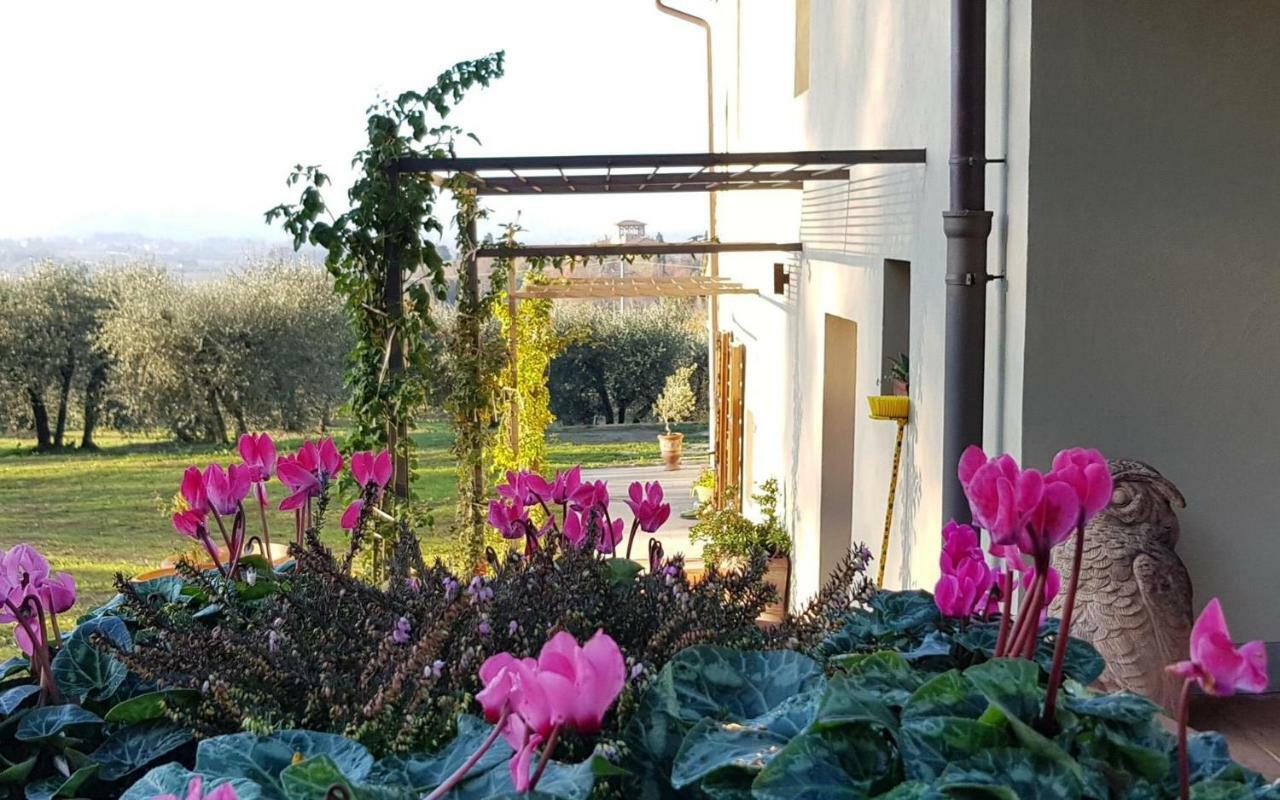 Podere Agli Arrighi シーニャ エクステリア 写真